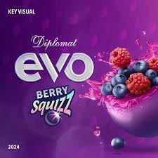 Diplomat Evo Berry 16